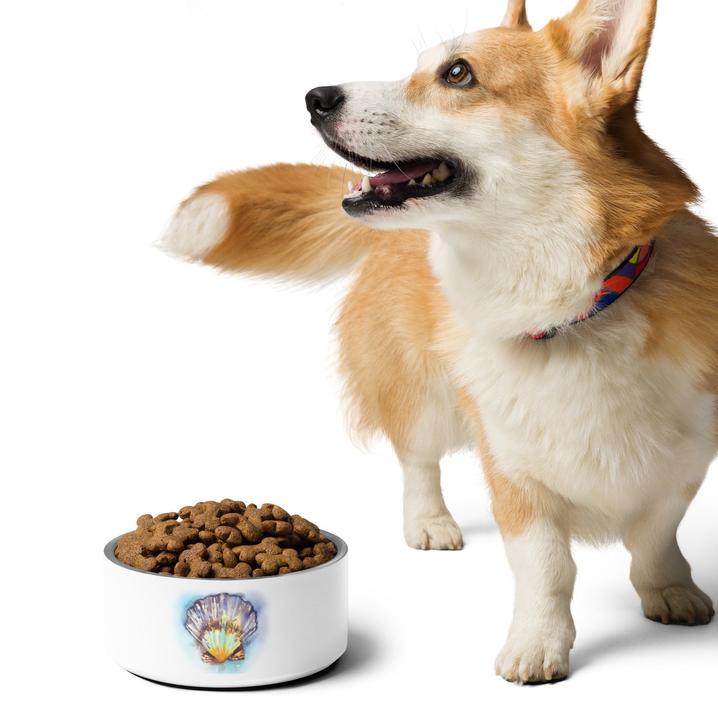 The Seashell Pet Dish - Brooke Zitting, LLC